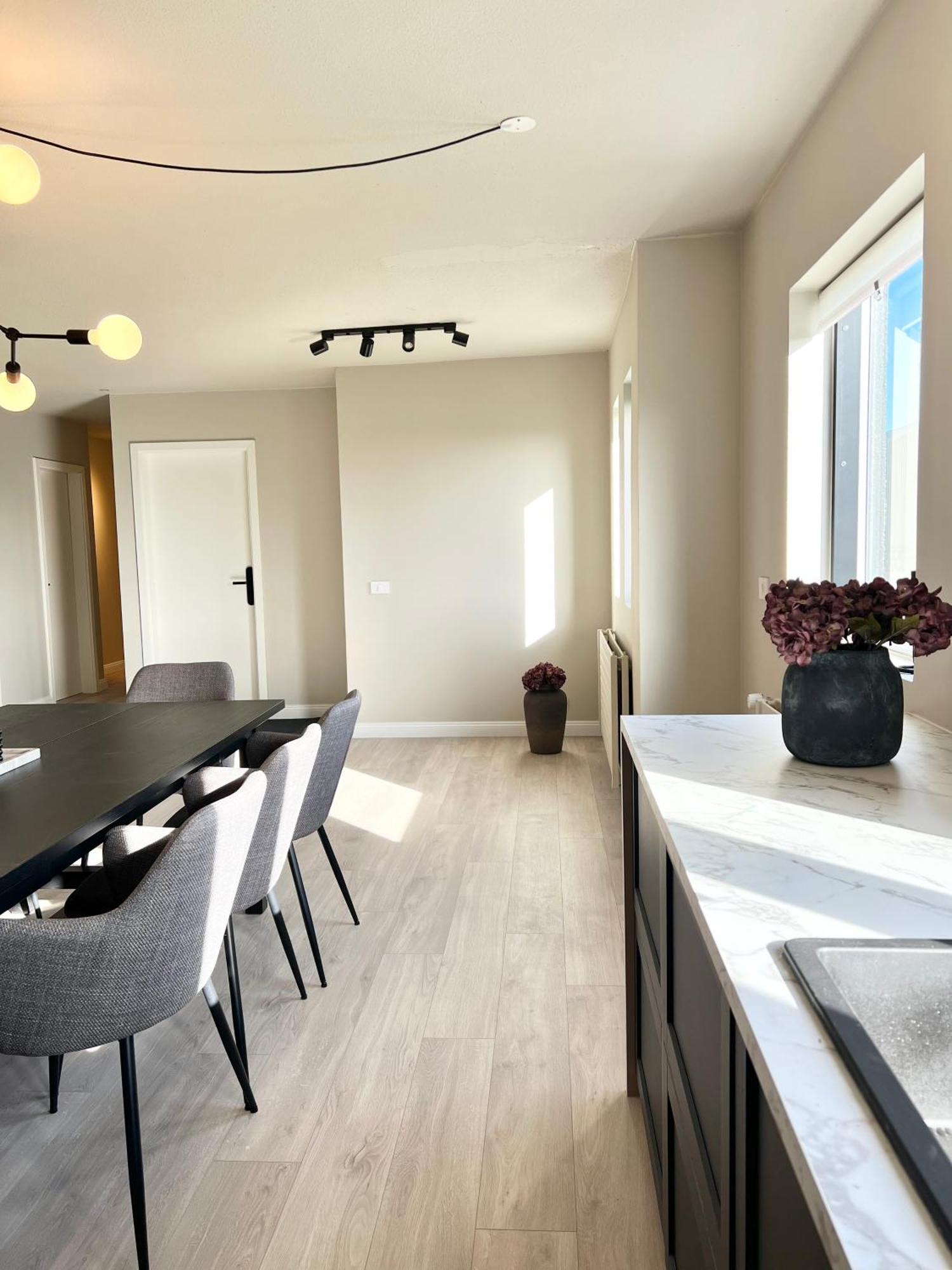 The Greyhouse "Big Apartment" Höfn Eksteriør bilde